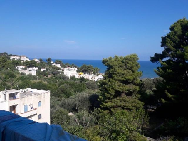 Villa Tramonti San Menaio Exterior foto